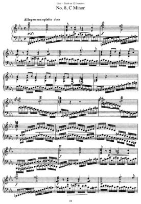 con spirito music definition: The essence of musical expression lies not only in the notes but also in the spirit with which they are played or sung.