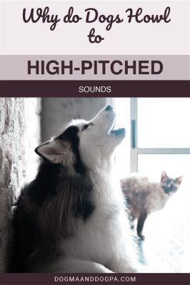 Why Do Dogs Howl at Music: A Multi-perspective Exploration